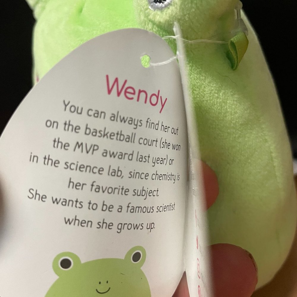 Wendy the Frog 5" Squishmallow NEW with tag